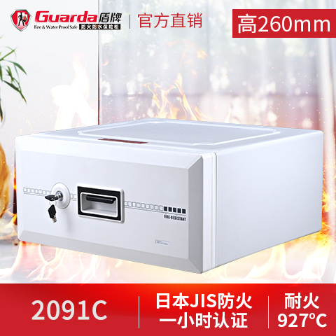 盾牌保險箱，您身邊貼心的家庭小銀行 (圖1)